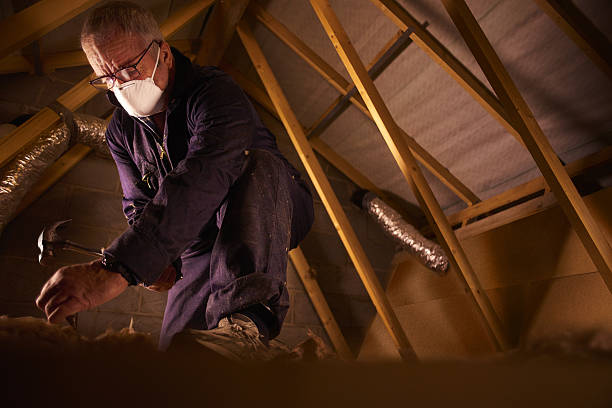 Best Cellulose Insulation in Newark, NJ